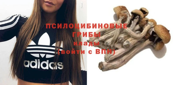 спиды Бородино