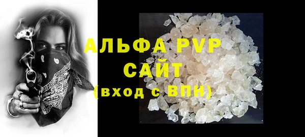 спиды Бородино