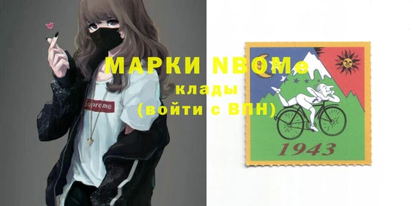 спиды Бородино