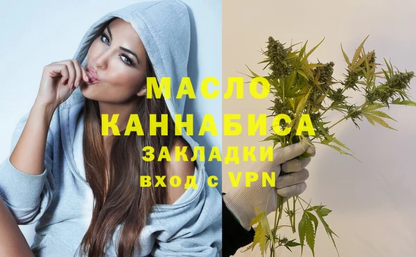 спиды Бородино