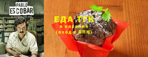спиды Бородино