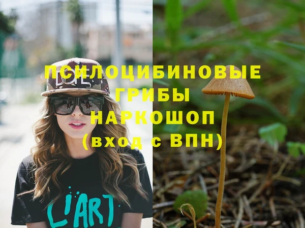 apvp Бронницы