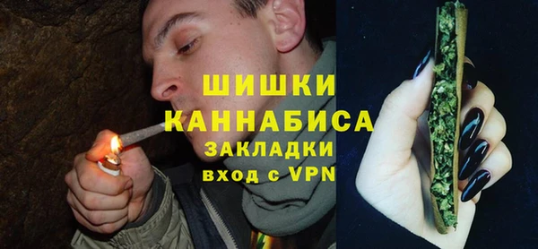 спиды Бородино