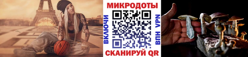 Псилоцибиновые грибы GOLDEN TEACHER  Вихоревка 